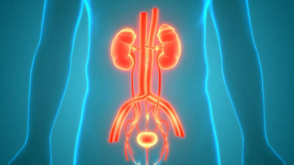 Best Urinary Infection Treatment In Vashi